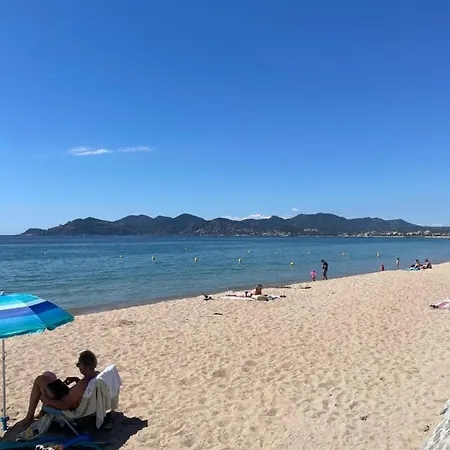 Centre-palais-200m Des Plages