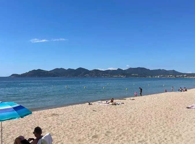 Centre-palais-200m Des Plages